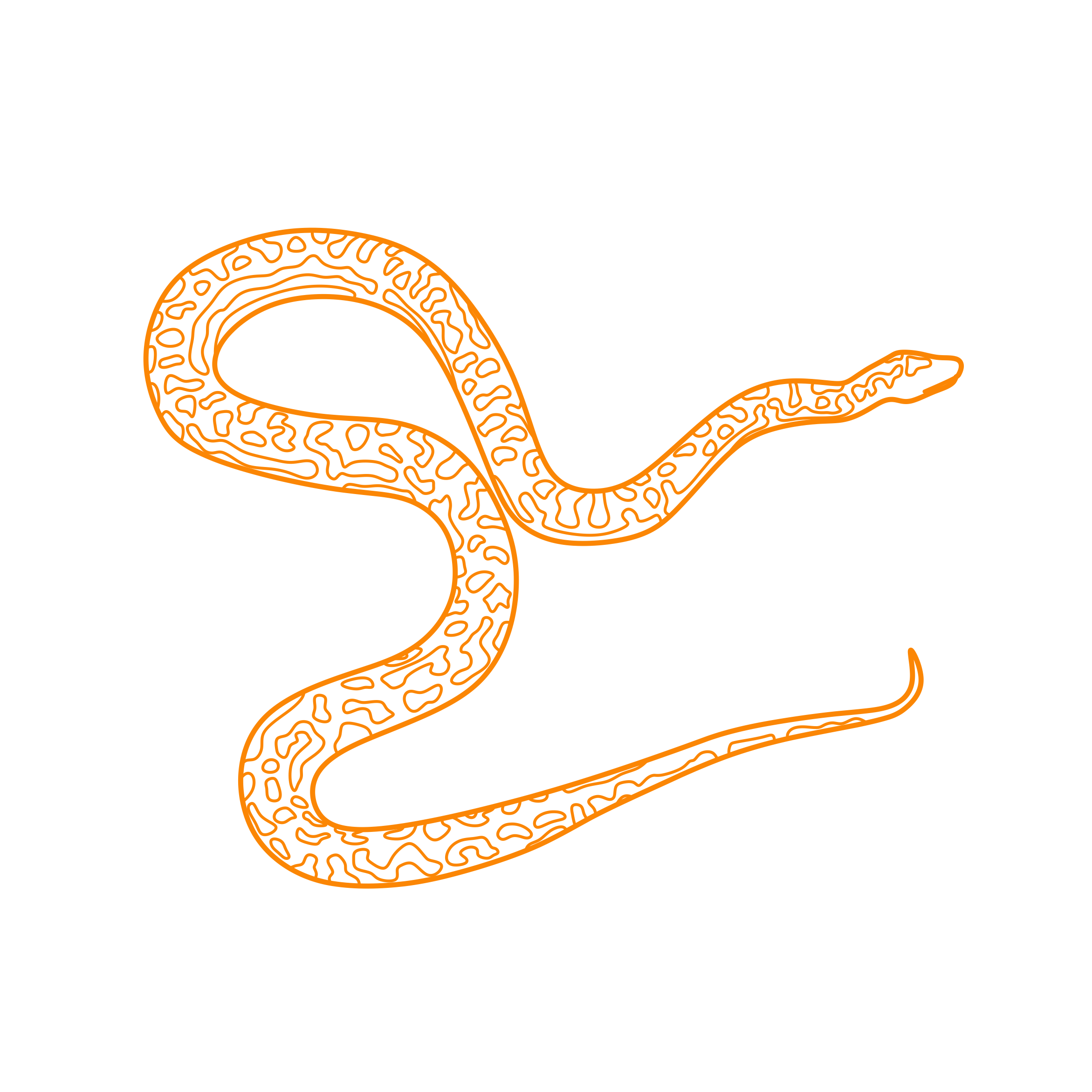 Animals Snakes Carpet Python Sticker Outline Svg File Free Vectors